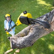 Mulching Services in Roxborough Park, CO